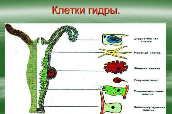 Кракен почему не заходит