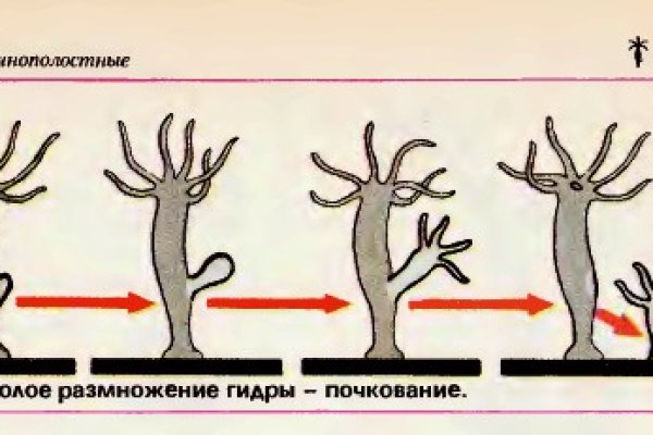 Взломали кракен аунтификатор