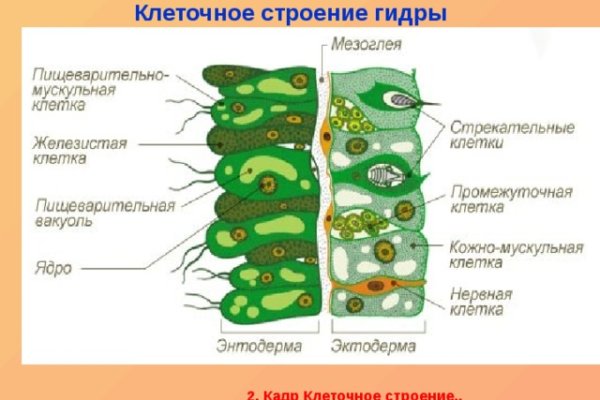 Кракен даркнет маркет плейс