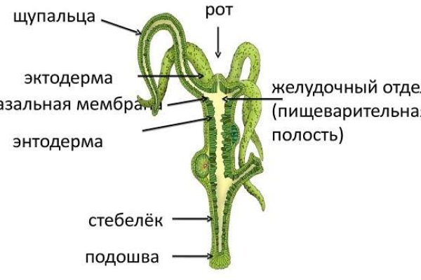 Кракен тор krakens13 at